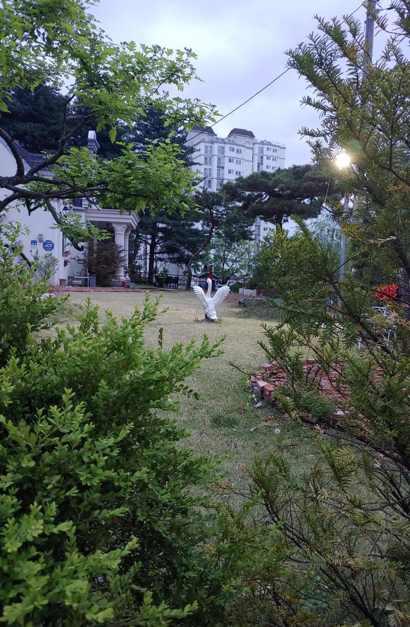The Castle Stay Chuncheon Exteriör bild