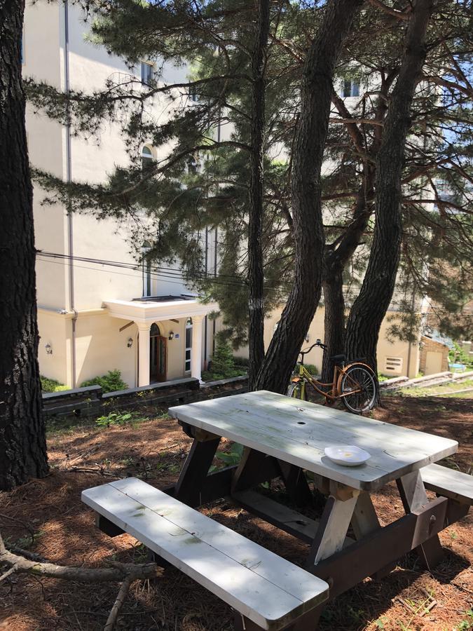 The Castle Stay Chuncheon Exteriör bild